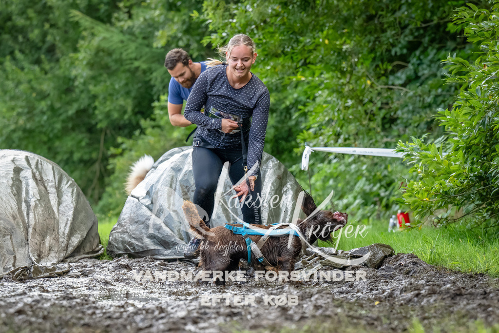 1144_ZZ94062-Bearbeitet | kk-dogfotos