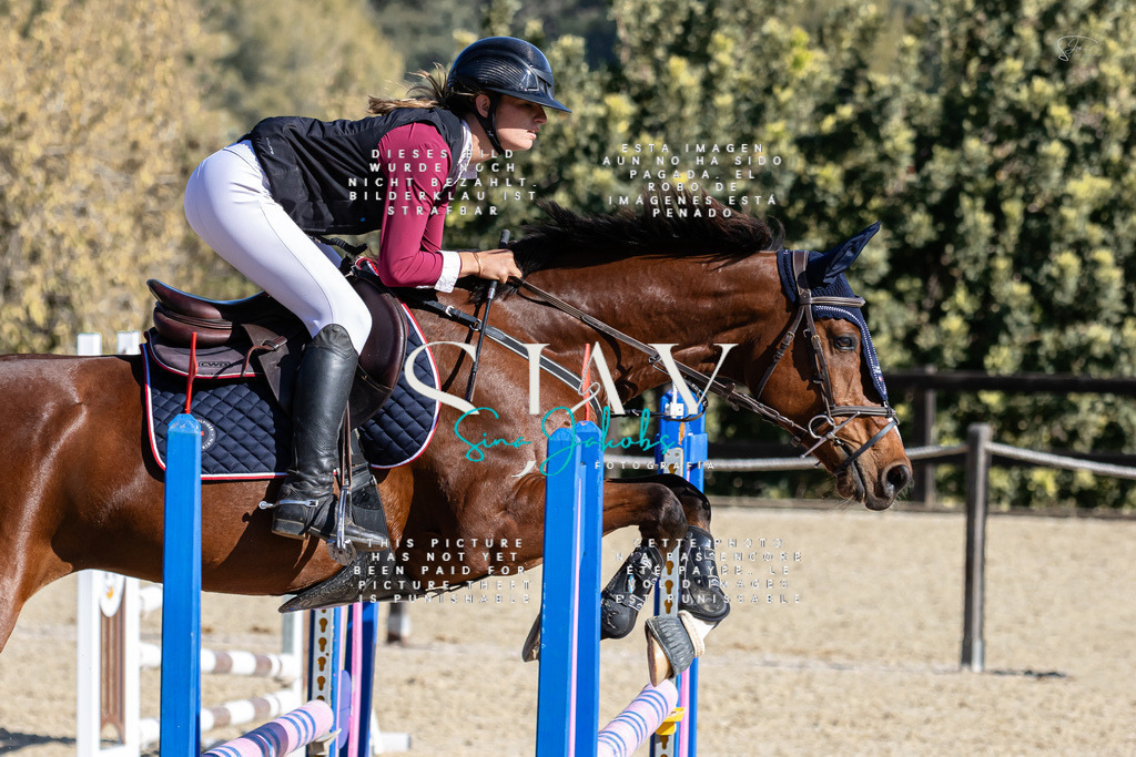 IMG_9887 | s-jay-photography - Realisiert mit Pictrs.com