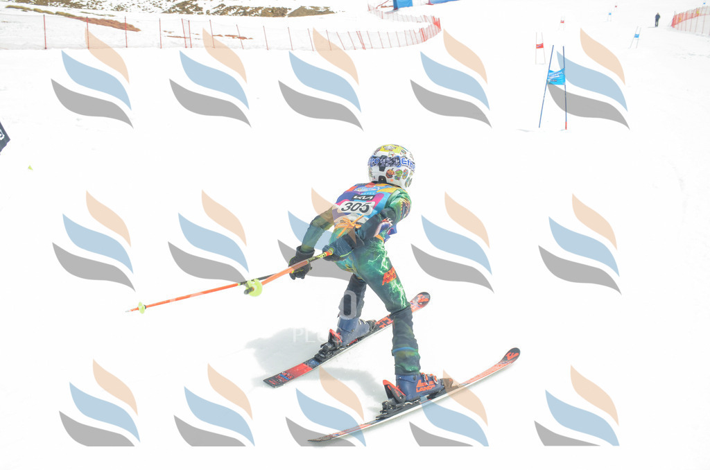 _ELE8318 | holidayphoto