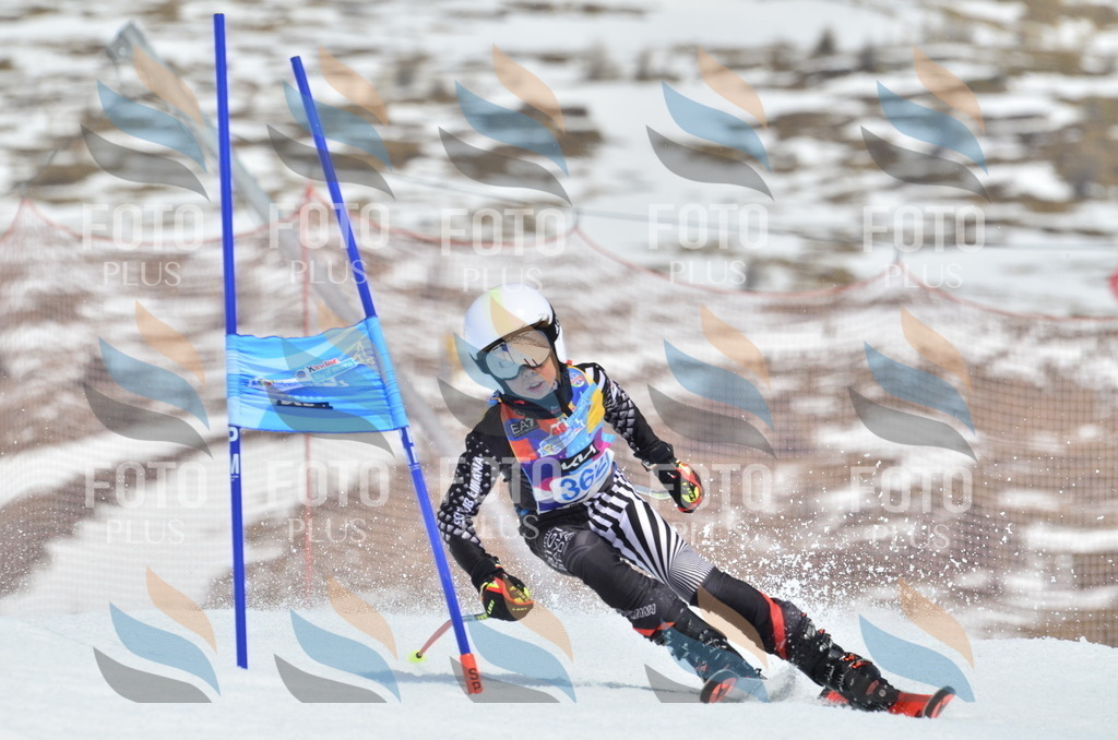 _ELE2877 | holidayphoto