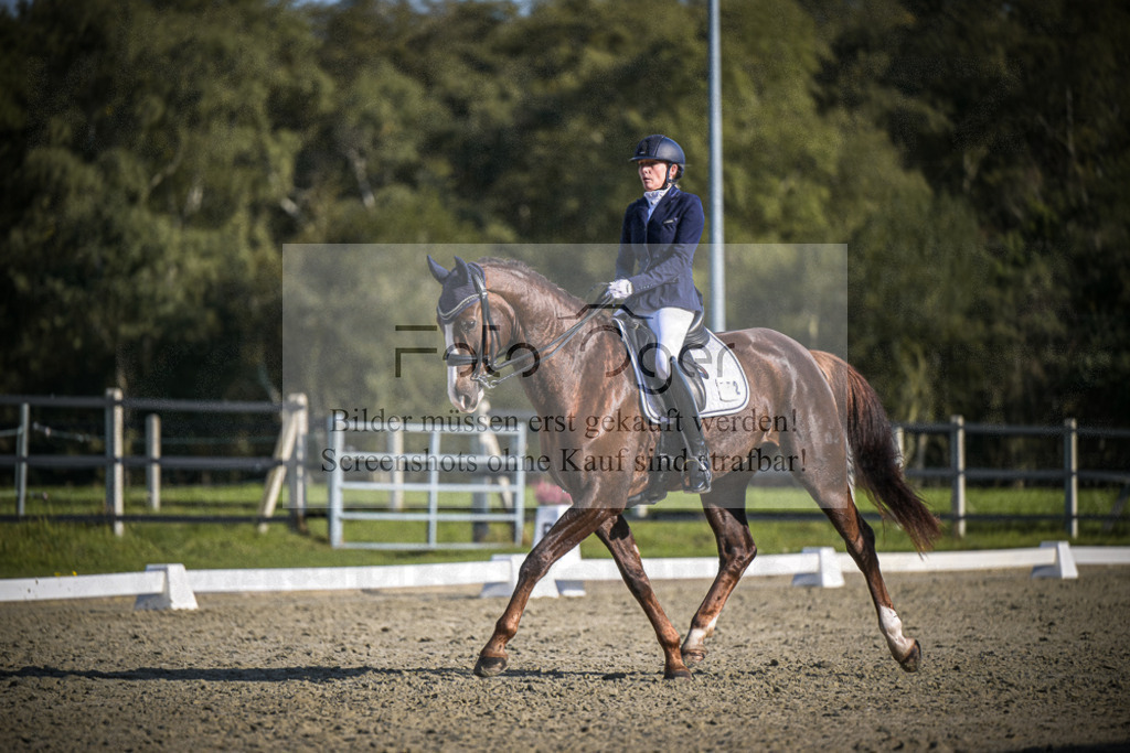 DOS_4936 | Entdecke hochwertige Reitturnierfotos von Foto Oger. Professionell, emotional und authentisch – jetzt Lieblingsmomente im Shop bestellen.Deutschlandweite Turnierfotografie. - Realisiert mit Pictrs.com