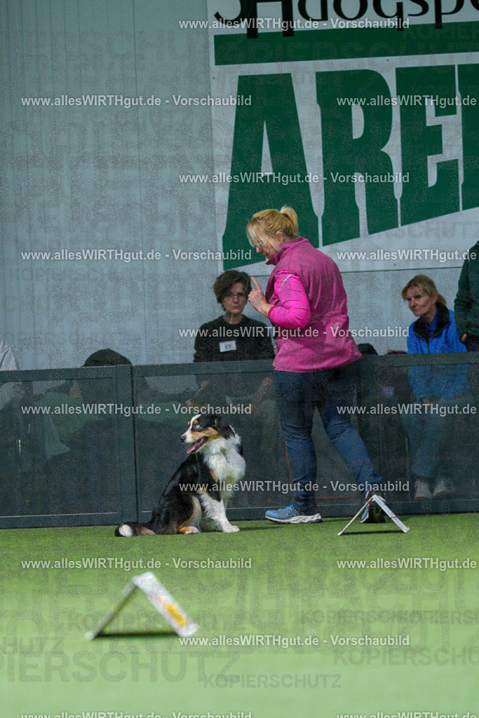 7R505907 | Professionelle Tierfotografie in Mönchengladbach von Daniel Wirth (allesWIRTHgut). Liebevolle & natürliche Bilder von Hunden & Katzen für unvergessliche Erinnerungen.