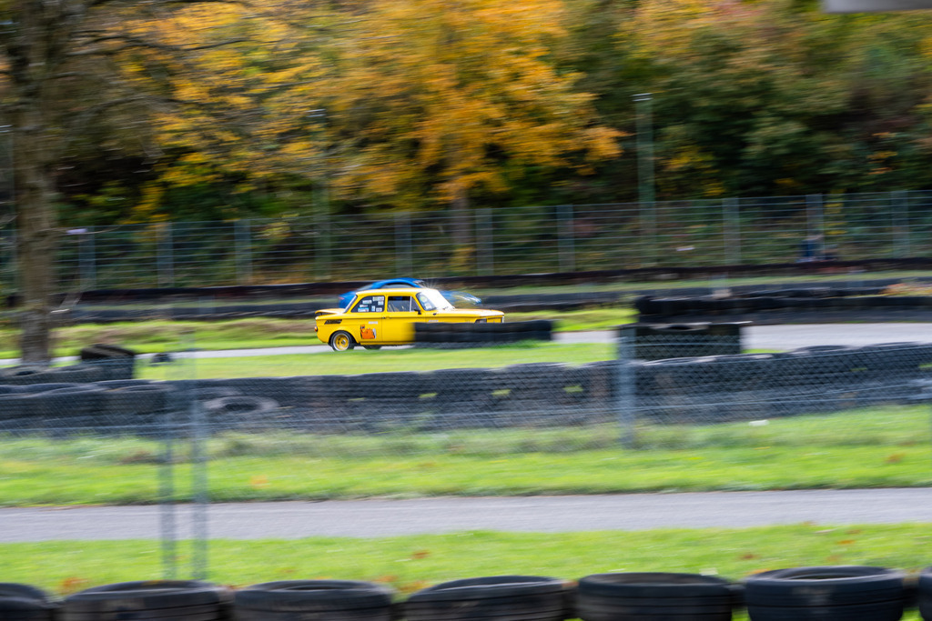 Teningen_2025-24 | Bernd Kohlen - Fotograf | Bilder / Prints kaufen | Landschaften, Sport, Reportagen, Events, Hochzeiten, wedding, Tiere u.v.m. - Realisiert mit Pictrs.com