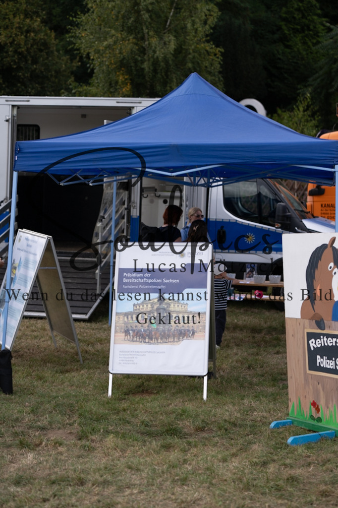 A7V09535 | Pferdefotograf