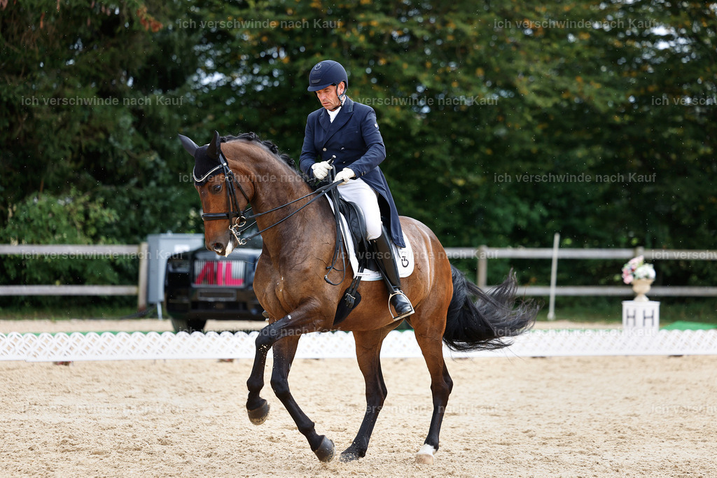 11-226-Dressur S___-StoibPH-1025 | working equitationturnier fotograf videograf stoibphotography marixx film working equitation deutschland reitsport turnierfotografie eventfotografie equestrian events