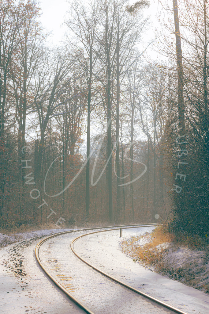 Schienen im Wald | Schwotte Media - Realisiert mit Pictrs.com