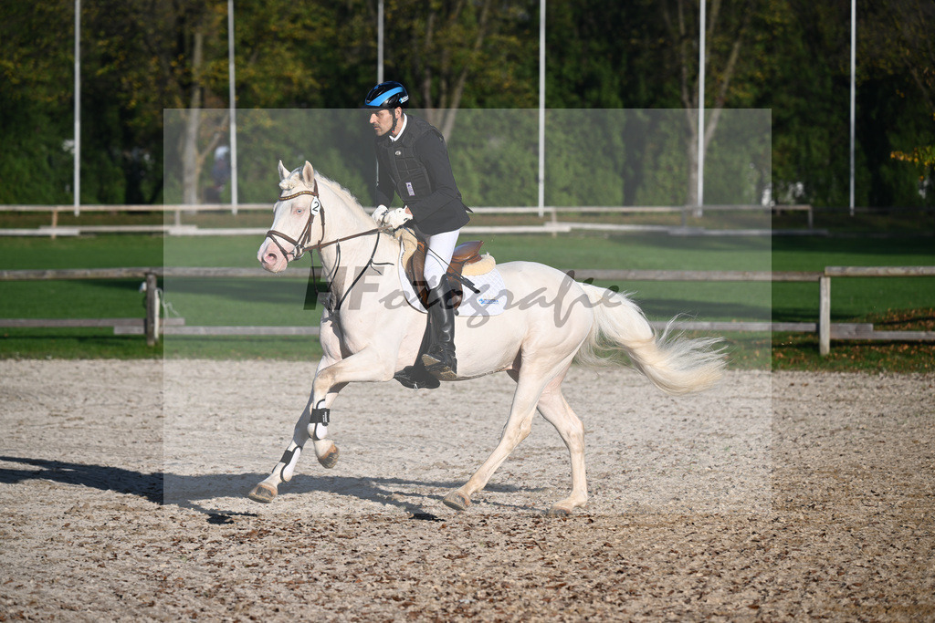 Kat-Nr. 2 Candidus von Nuex_Boettcher_44241020 | hf-fotografie - Realisiert mit Pictrs.com