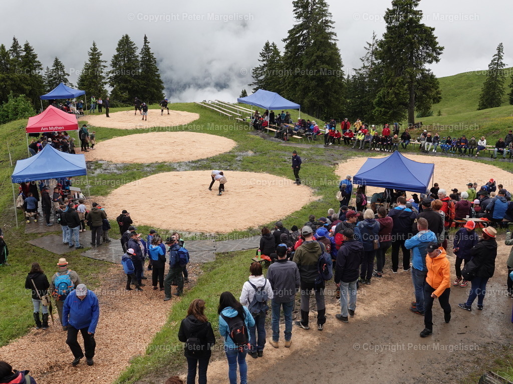 DSC07838 | Schwingen - Realisiert mit Pictrs.com
