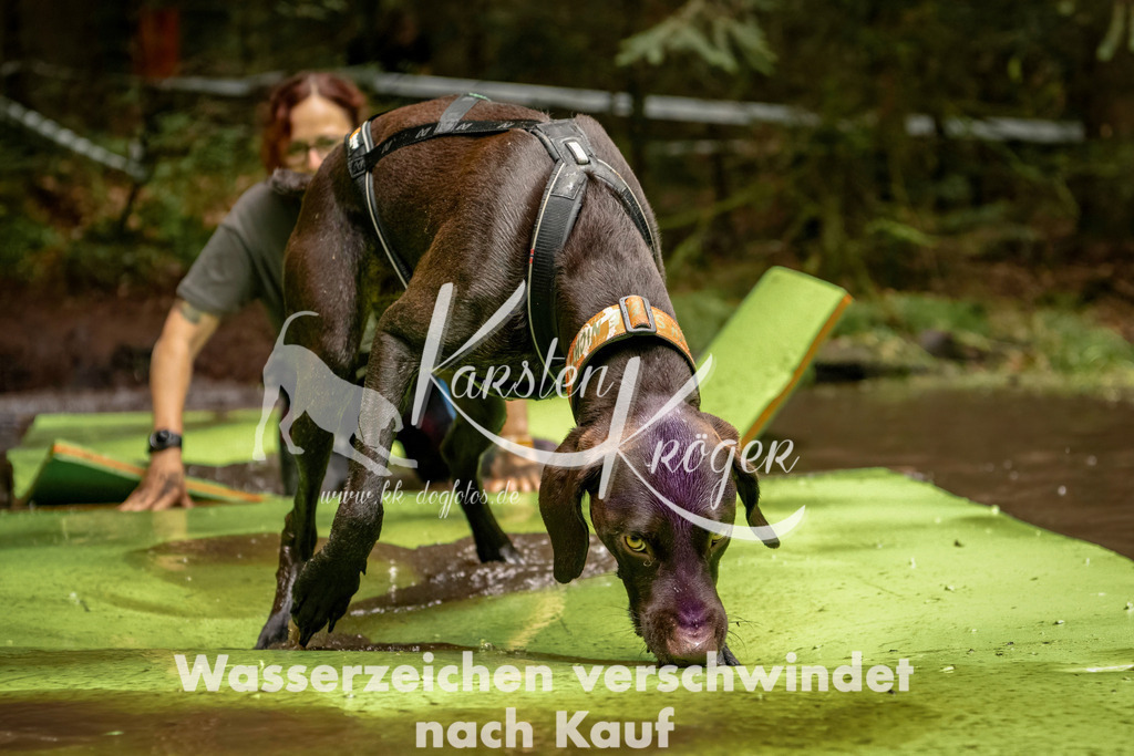 1211_ZZ93065-Bearbeitet | kk-dogfotos