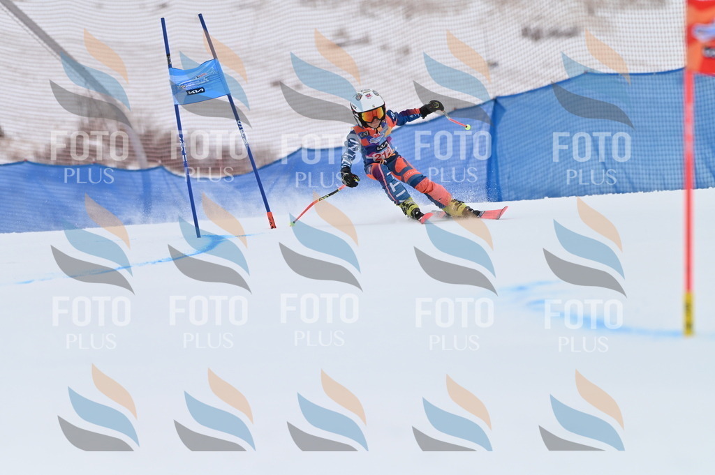 BGV_2515 | holidayphoto