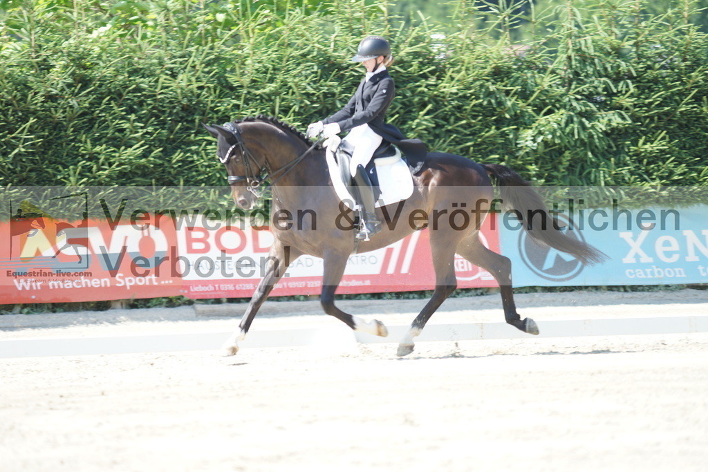 DSC02322 | equestrian-live-com