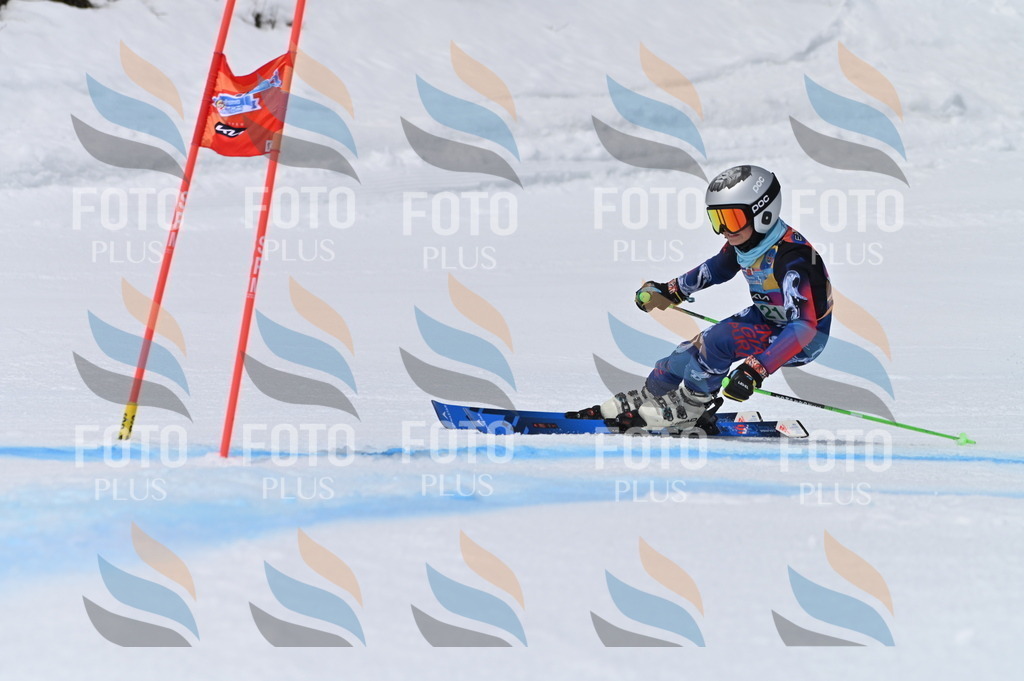 BGV_4334 | holidayphoto