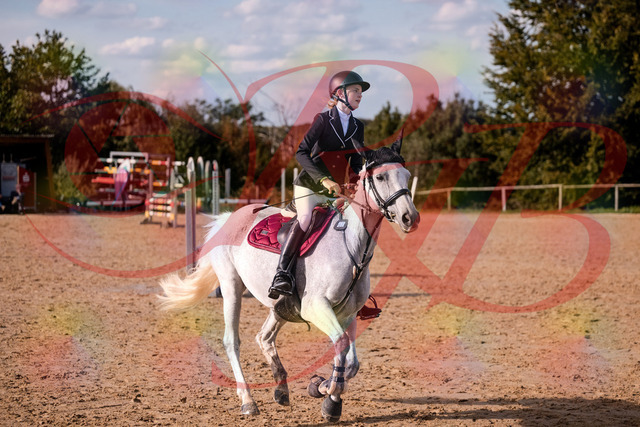 2026_10_03_Siefer-Hof_155139_Z81_70811147 | Professionelle Reitsport-, Turnier- und Eventfotografie von Robert Broda. Galerien mit ausgewählten und bearbeiteten Bildern direkt online ansehen und bestellen.