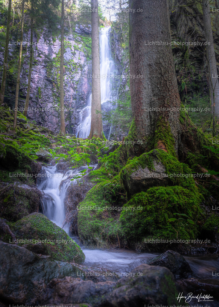 DSC06508-2-Bearbeitet | Hans-Bernd Lichtblau Photography. Finden Sie wunderschöne Fotografien aus Landschaft und Natur.  - Realisiert mit Pictrs.com
