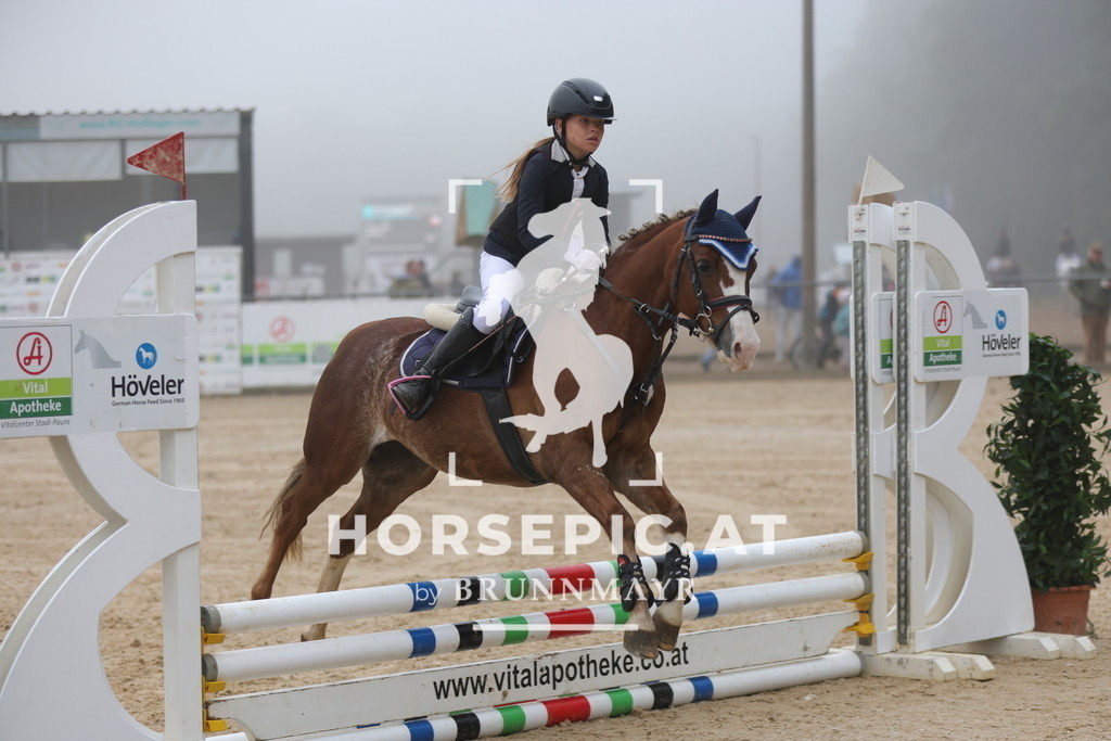 0P6A9574 | Willkommen bei Brunnmayr - Design & Fotografie – Ihrem Spezialisten für Reitturniere und Pferdeveranstaltungen in Oberösterreich, Salzburg und Bayern! Seit über 17 Jahren sind wir leidenschaftlich dabei.