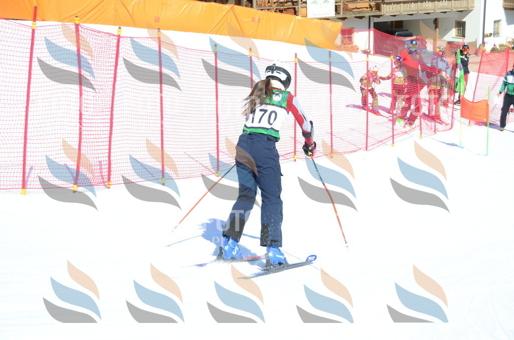 C6303 | holidayphoto