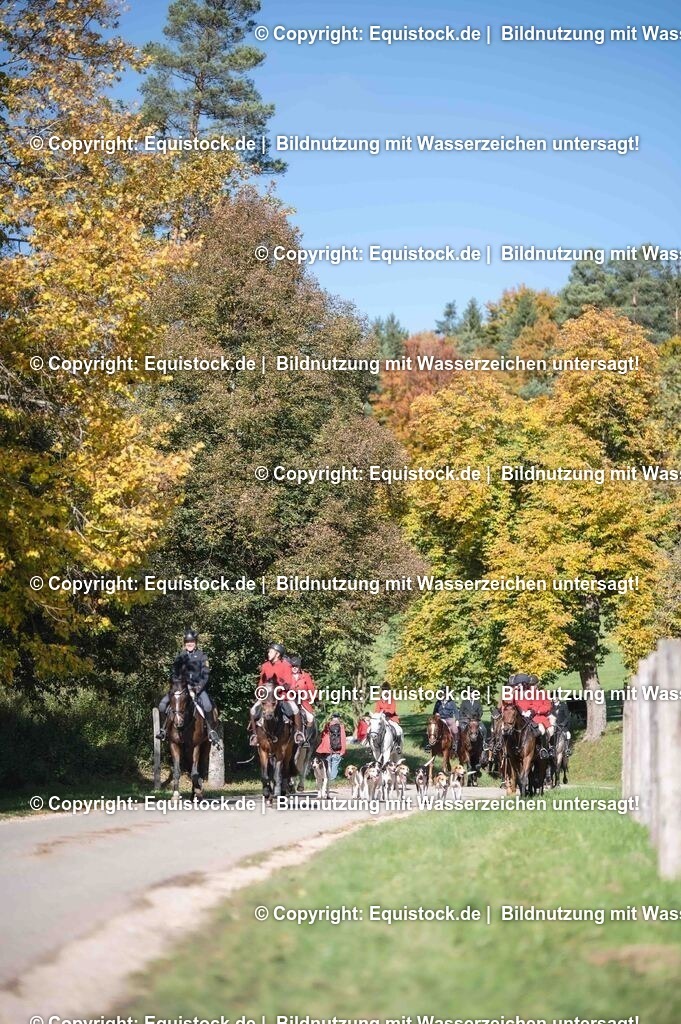 20251011_Jagd-Marbach_0577 | Foto: Thomas Hartig