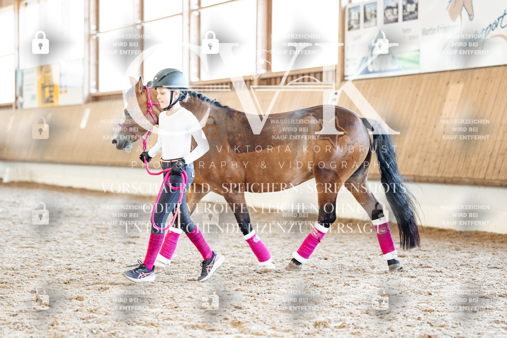 CK907124 | Turnierfotografie Pferdefotografie Trier Rheinland-Pfalz Pferdesport Reitsport Tierfotografie Sportfotografie Pferdevideo Pferdevideografie Equestrianvideography equestrianphotography  - Realisiert mit Pictrs.com