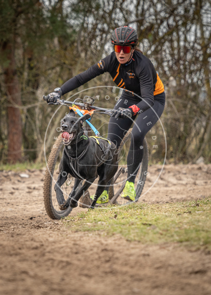 Pfotenfotografie_DV3A9166 | Hundefotografie, Tierfotograf, Pfotenfotografie, Fotoshooting Hund, Hunde Portrait, Hundesport, Hundeportraits, Heideshooting, Hunde, Sportfotograf, Hundefotograf, Turnierhundsport, THS,  - Realisiert mit Pictrs.com