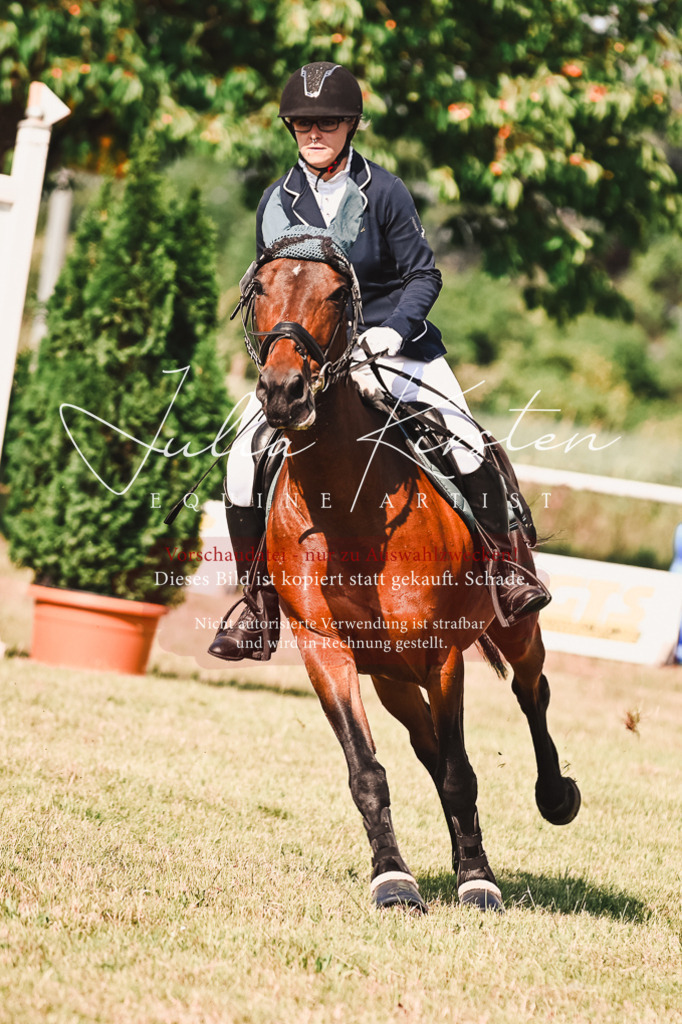DSC_7359 | Pferde- und Turnierfotografie in Westsachsen. Pferdeportraits, Auftragszeichnungen und intuitive Kunst.