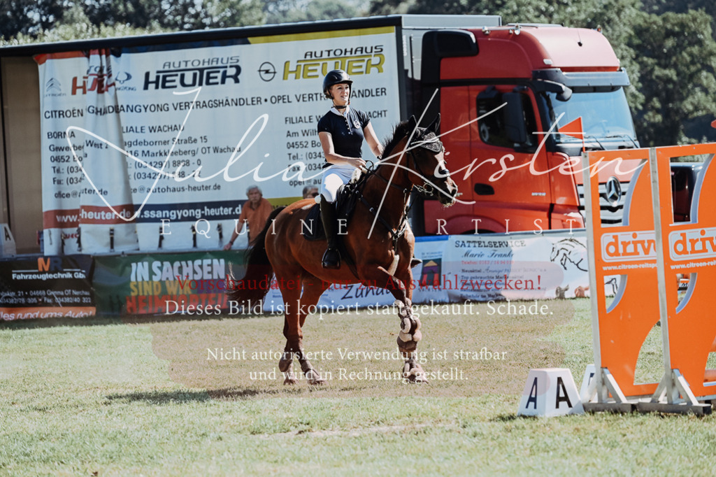 DSC_5813 | Pferde- und Turnierfotografie in Westsachsen. Pferdeportraits, Auftragszeichnungen und intuitive Kunst.