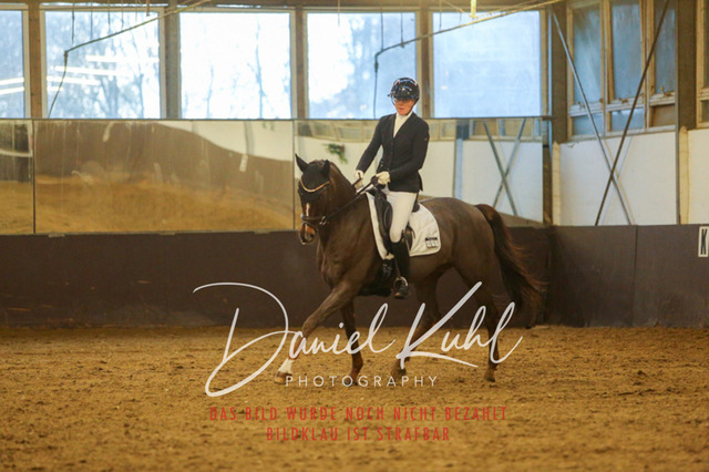 IMG_7114 | Turniersportfotografie; Pferdefotografie; Dressurfotografie