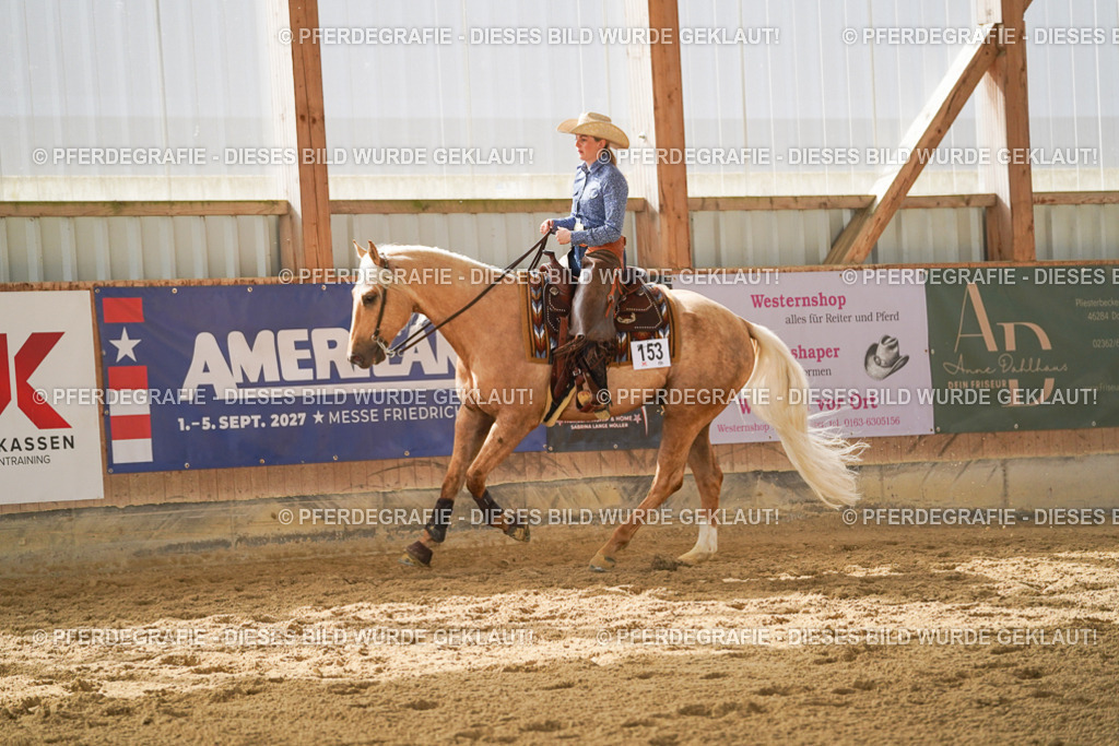 DSC05923 | Pferdegrafie