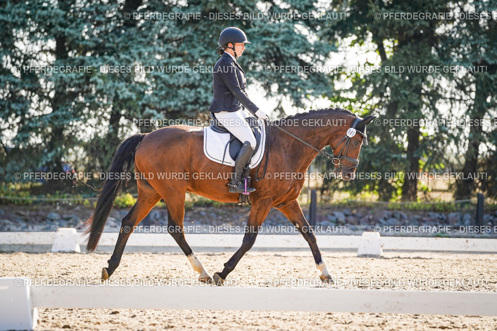 DSC09024 | Pferdegrafie