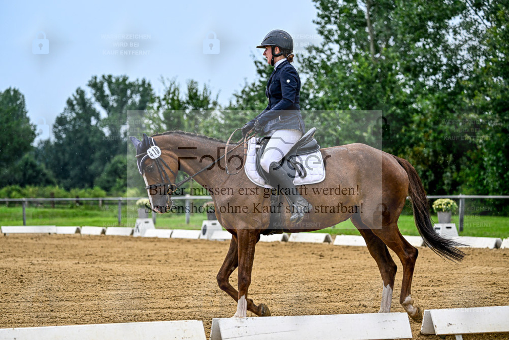 Reitturnier Hasbergen | Entdecke hochwertige Reitturnierfotos von Foto Oger. Professionell, emotional und authentisch – jetzt Lieblingsmomente im Shop bestellen. - Realisiert mit Pictrs.com