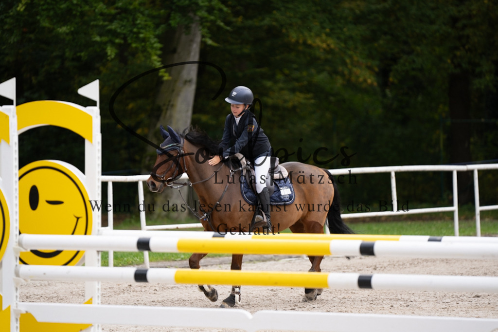 A7V07691 | Pferdefotograf