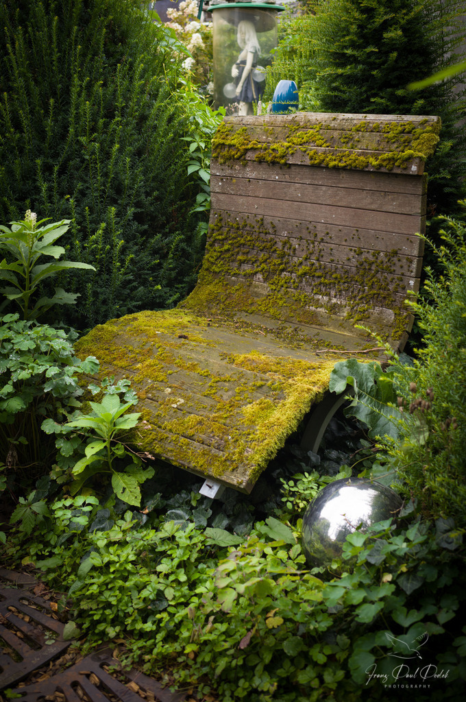 2024-08-07_17_44_27_L1007789 | Franz Podek