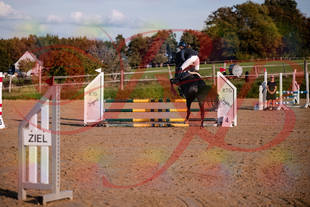 2026_10_03_Siefer-Hof_171540_Z81_13038442 | Professionelle Reitsport-, Turnier- und Eventfotografie von Robert Broda. Galerien mit ausgewählten und bearbeiteten Bildern direkt online ansehen und bestellen.