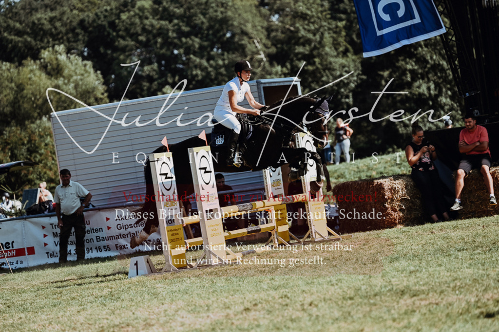 DSC_6719 | Pferde- und Turnierfotografie in Westsachsen. Pferdeportraits, Auftragszeichnungen und intuitive Kunst.