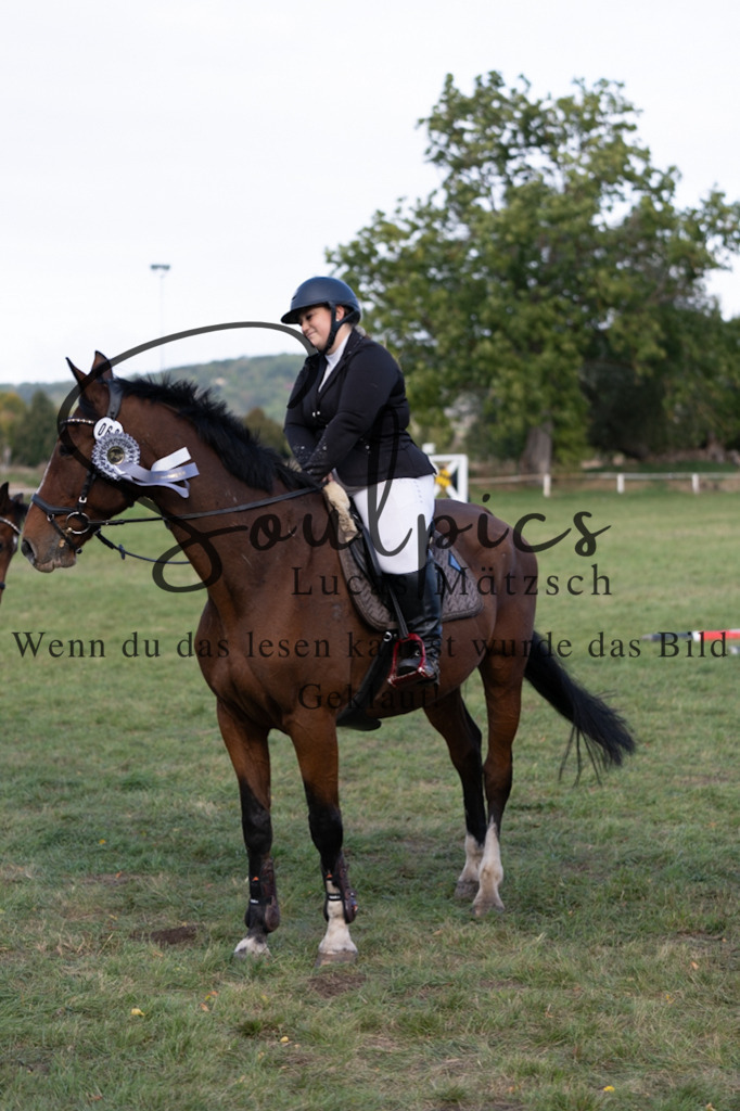 A7V06593 | Pferdefotograf