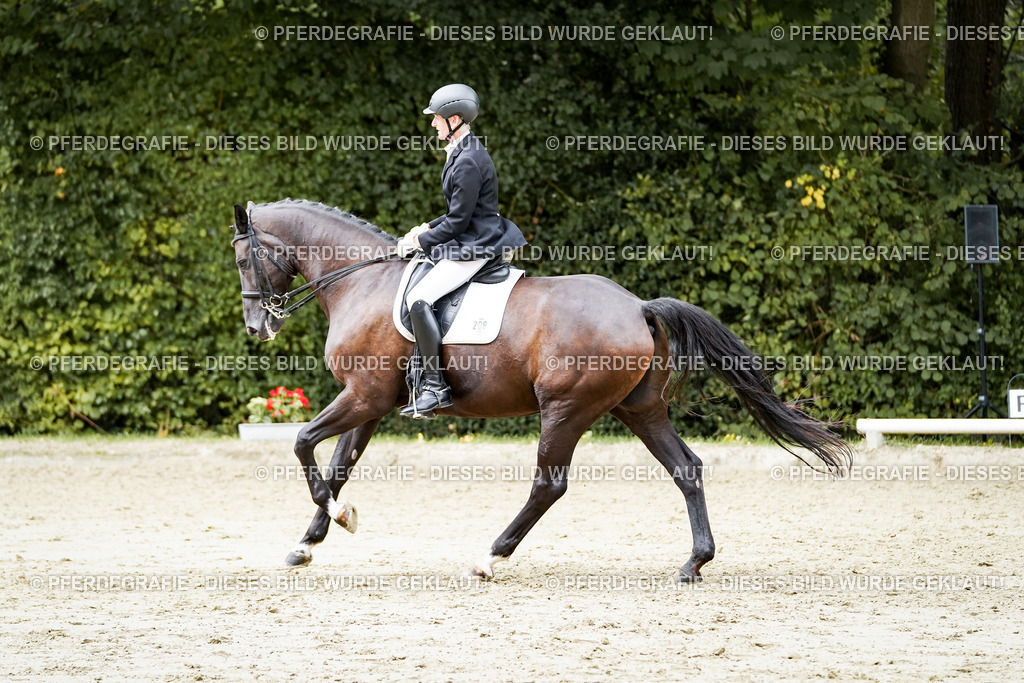 DSC05957 | Pferdegrafie