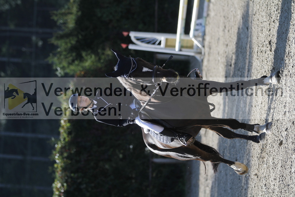 _MG_4179 | equestrian-live-com