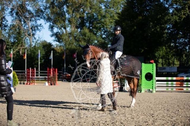 2B4A0101 | pixelfaenger - Realisiert mit Pictrs.com