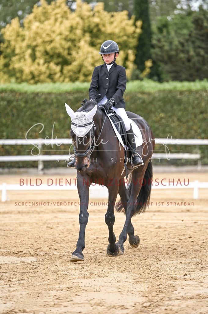 Schugtsche-Aluta25-42.EDressur -225 | Schugtsche Fotografie - Realisiert mit Pictrs.com