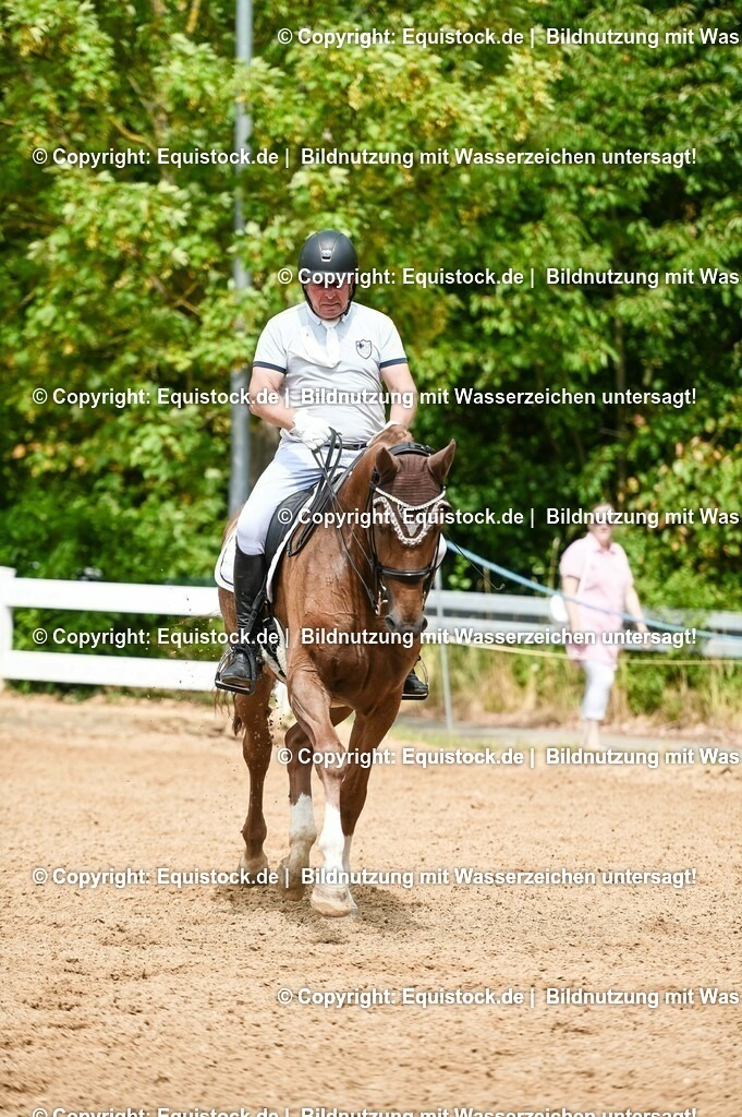 20230716_01_Dressurprüfung Kl.M_0094 | equistock