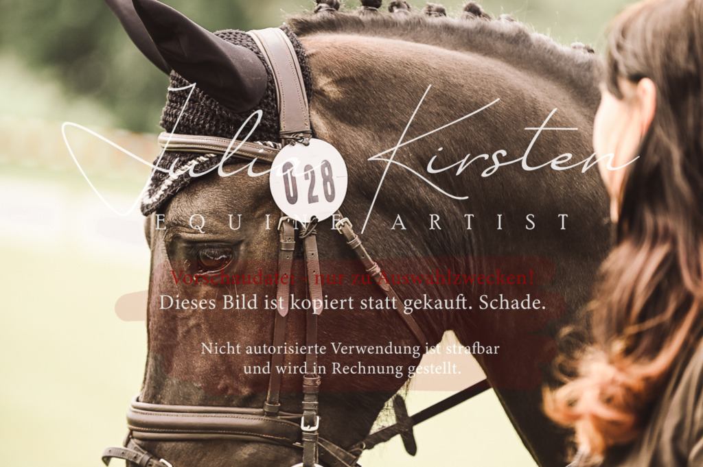 DSC_4877 | Pferde- und Turnierfotografie in Westsachsen. Pferdeportraits, Auftragszeichnungen und intuitive Kunst.
