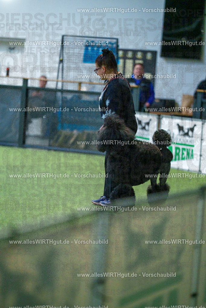 7R503444 | Professionelle Tierfotografie in Mönchengladbach von Daniel Wirth (allesWIRTHgut). Liebevolle & natürliche Bilder von Hunden & Katzen für unvergessliche Erinnerungen.