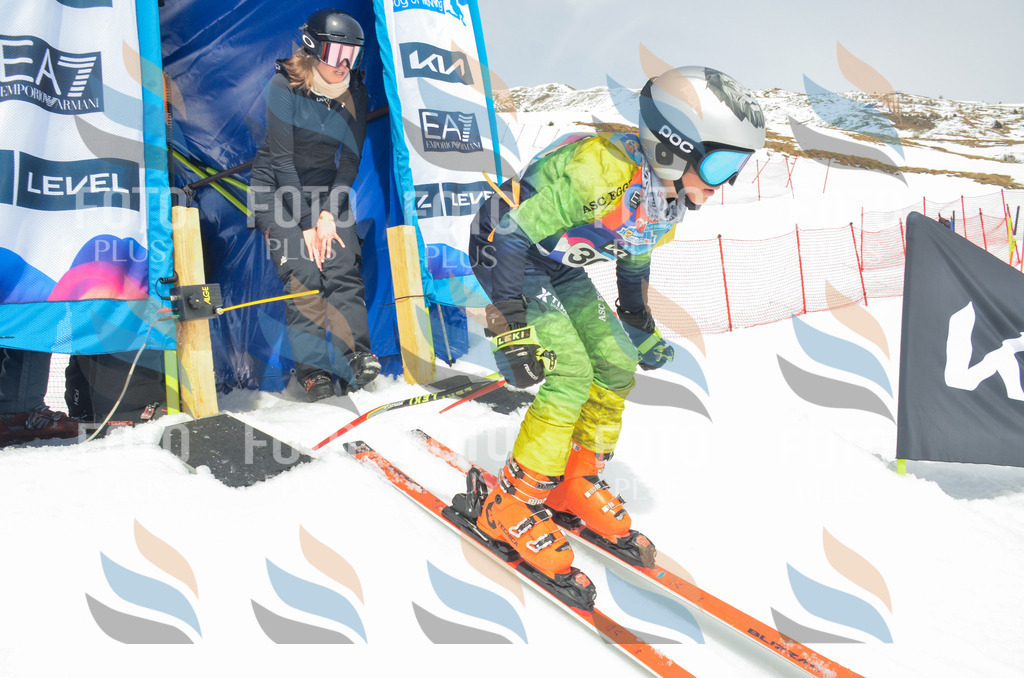 _ELE8359 | holidayphoto