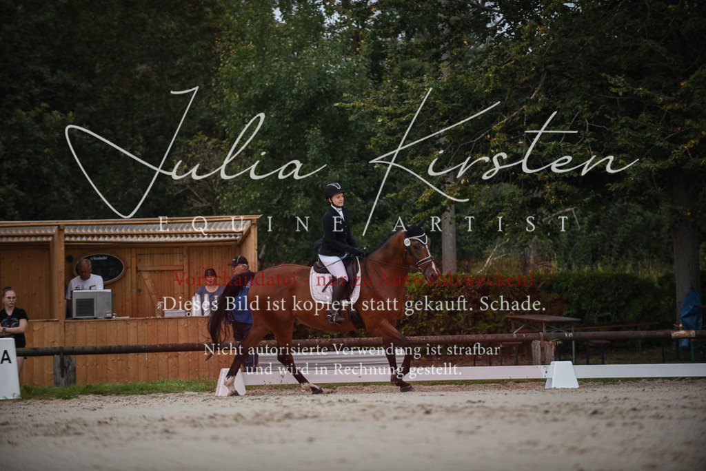 DSC_8074 | Pferde- und Turnierfotografie in Westsachsen. Pferdeportraits, Auftragszeichnungen und intuitive Kunst.
