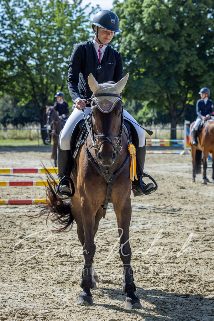20260704-_3LI7190 | Tierfotografie Pferde, Hunde, Katzen, Haustiere.
Turnierfotografie Reitturniere, Reiten, Springreiten, Dressur in Hanau, dem Main-Kinzig-Kreis und dem Rhein-Main- Gebiet um Frankfurt