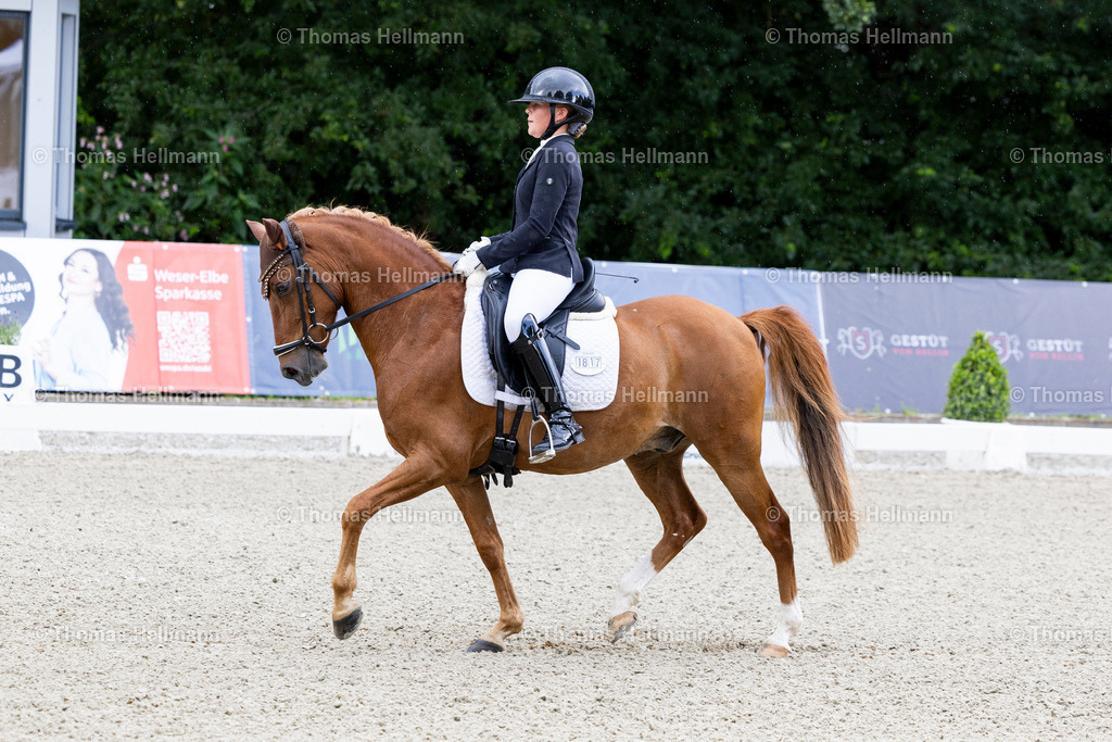 TH_1817 Golden Surprise 5 (GER)_ Lisa von Helldorff_31728 | Elmloher Reitertage 2025 am 01.08.25 in Elmlohe,