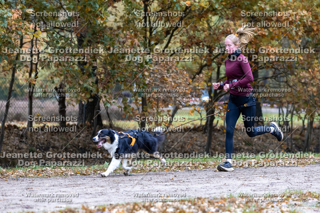 Dog Paparazzi - SD CaniX Championship 2025-389 | Dog Paparazzi Jeanette Grottendiek Fotografie & Videografie - Realisiert mit Pictrs.com