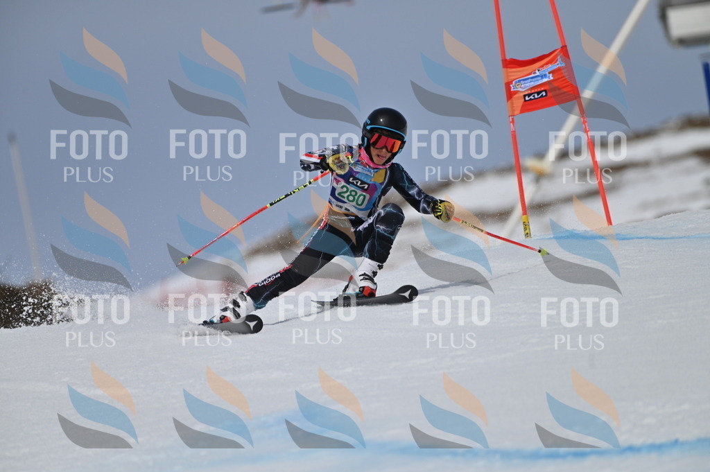 BGV_5567 | holidayphoto