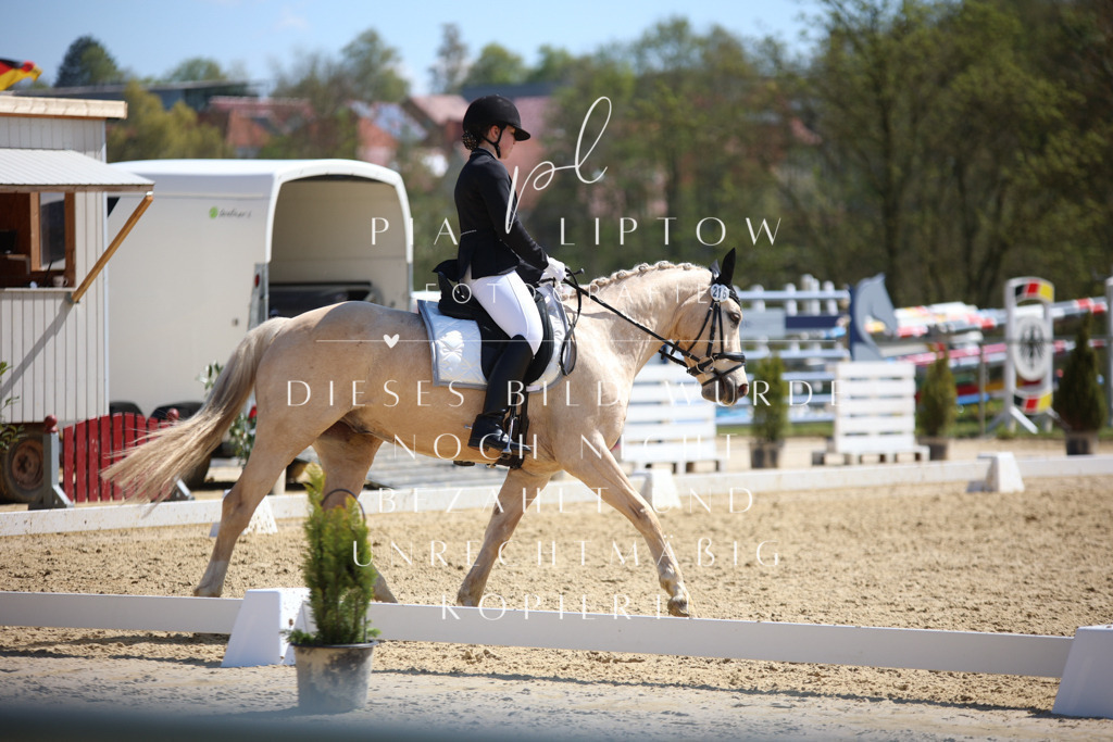 IMGT1702 | pl-fotografie