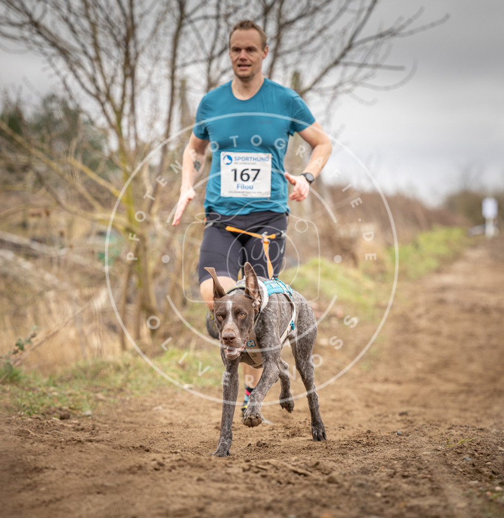 DV3A1824 | Hundefotografie, Tierfotograf, Pfotenfotografie, Fotoshooting Hund, Hunde Portrait, Hundesport, Hundeportraits, Heideshooting, Hunde, Sportfotograf, Hundefotograf, Turnierhundsport, THS,  - Realisiert mit Pictrs.com