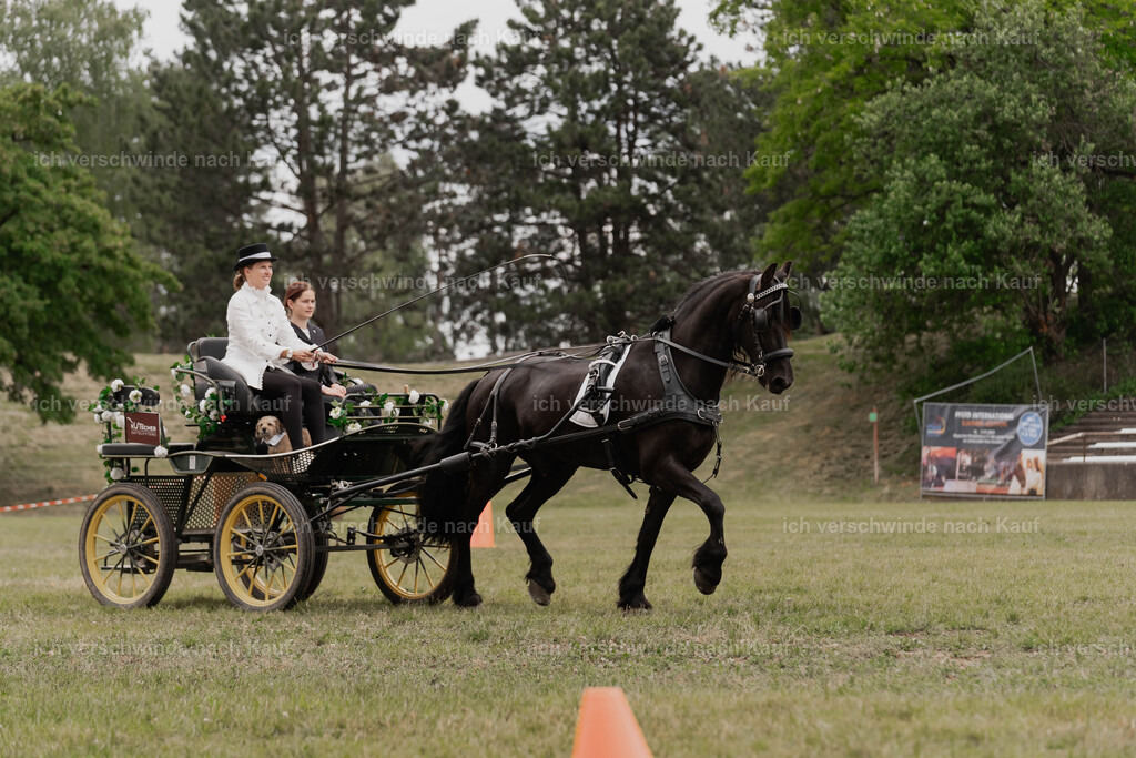 Showprogramm-301 | working equitationturnier fotograf videograf stoibphotography marixx film working equitation deutschland reitsport turnierfotografie eventfotografie equestrian events